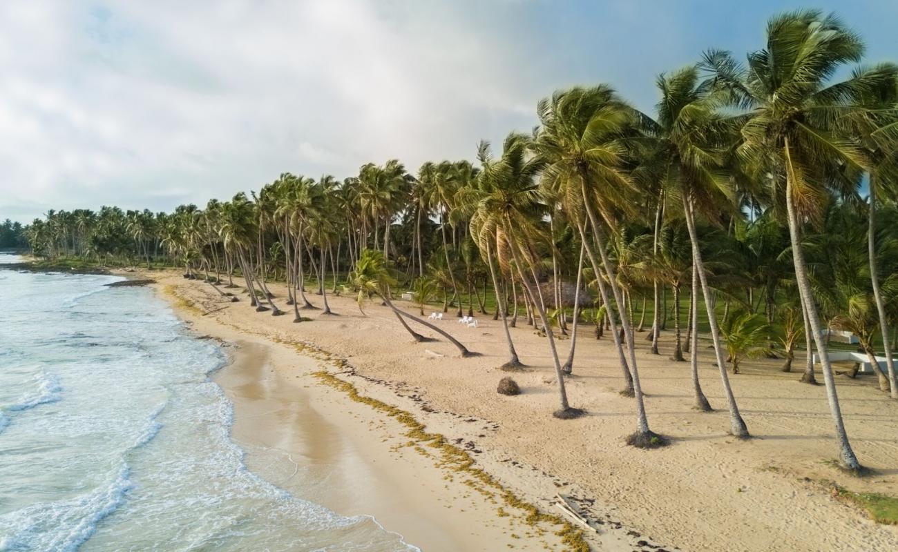 Foto de Playa Miguelito con brillante arena fina superficie