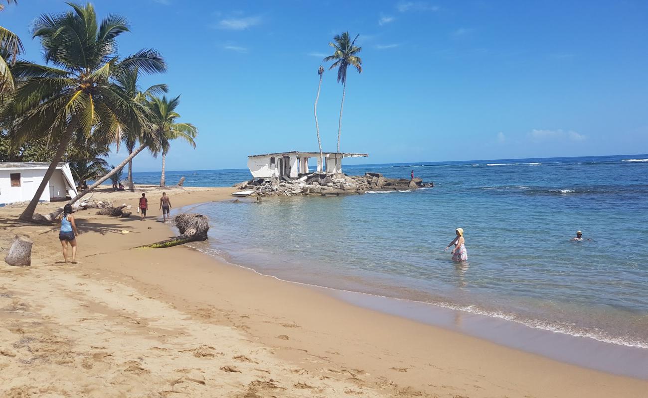 Foto de Playa los Gringos con brillante arena fina superficie