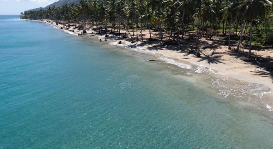 Playa Las Majaguas