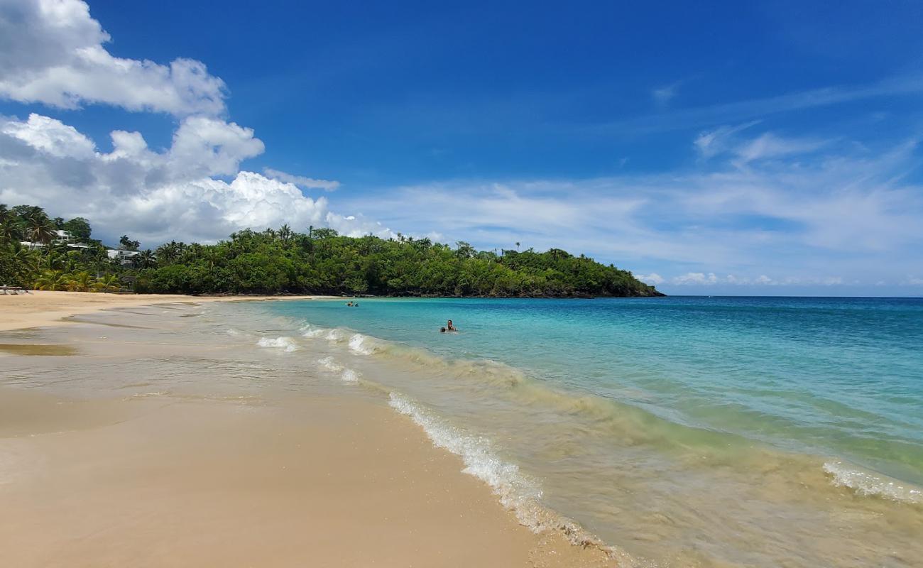 Foto de Playa Las Ballenas con brillante arena fina superficie