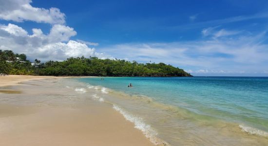 Playa Las Ballenas