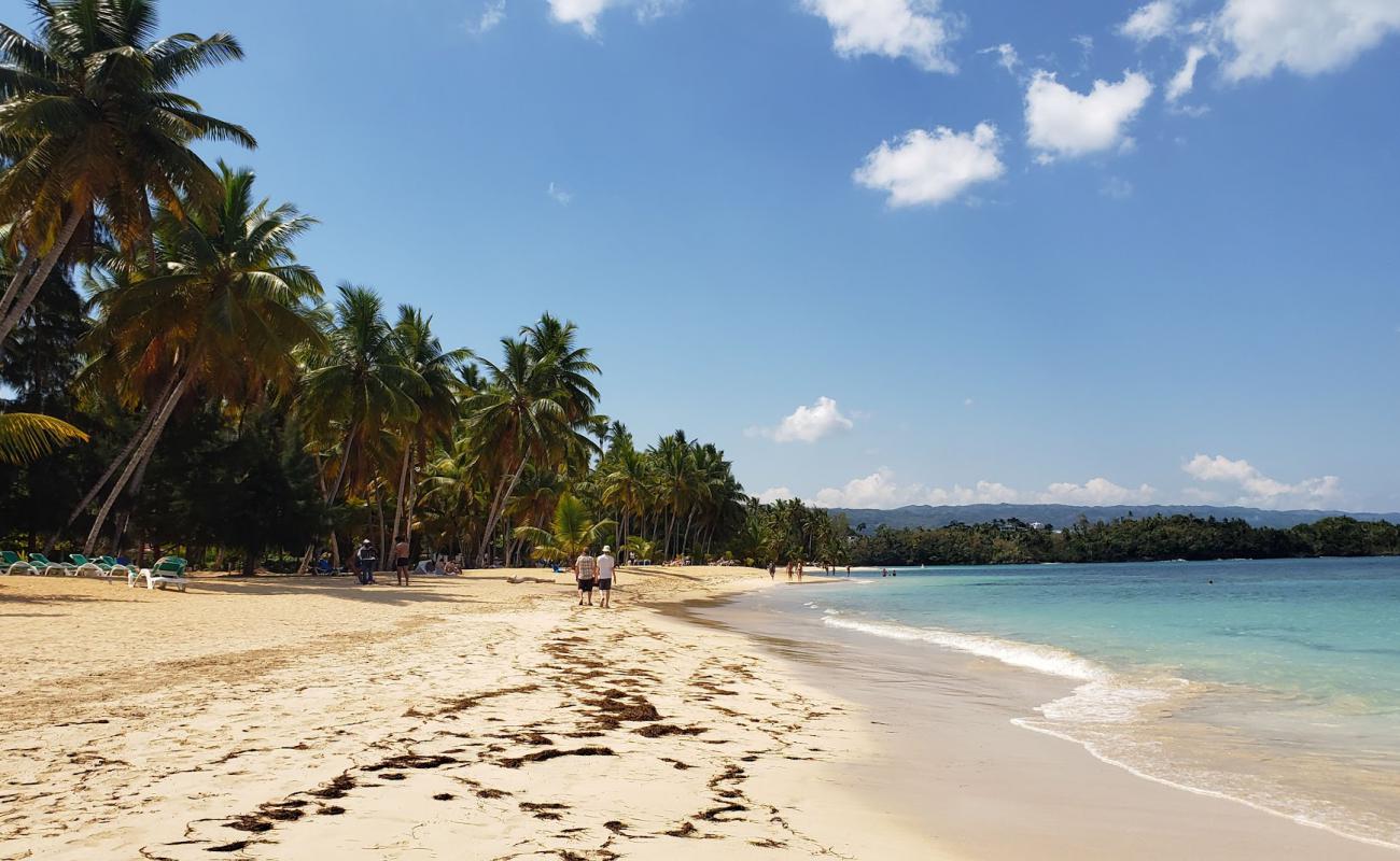 Foto de Playa Las Terrenas con arena brillante superficie