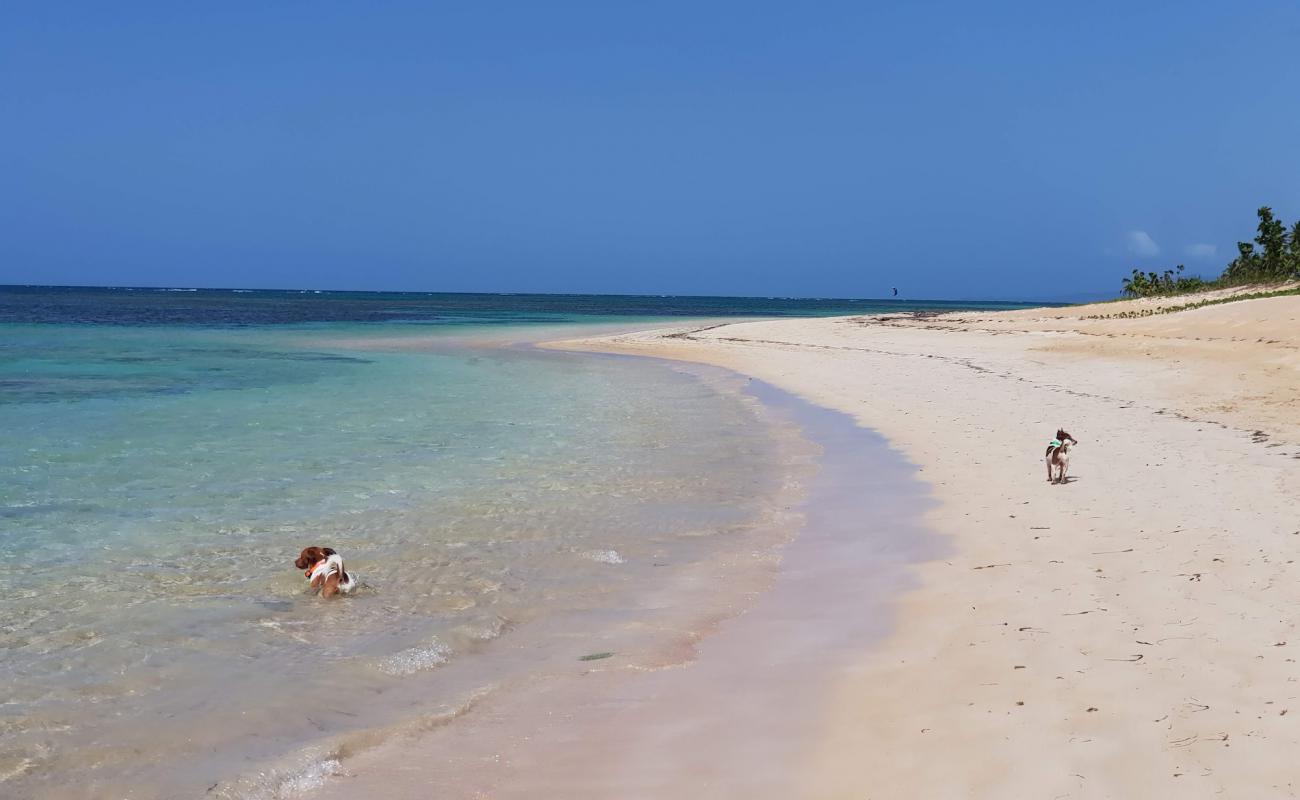 Foto de Playa El Portillo con brillante arena fina superficie