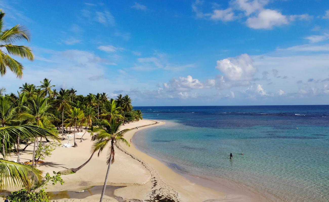 Foto de Playa Calolima con brillante arena fina superficie