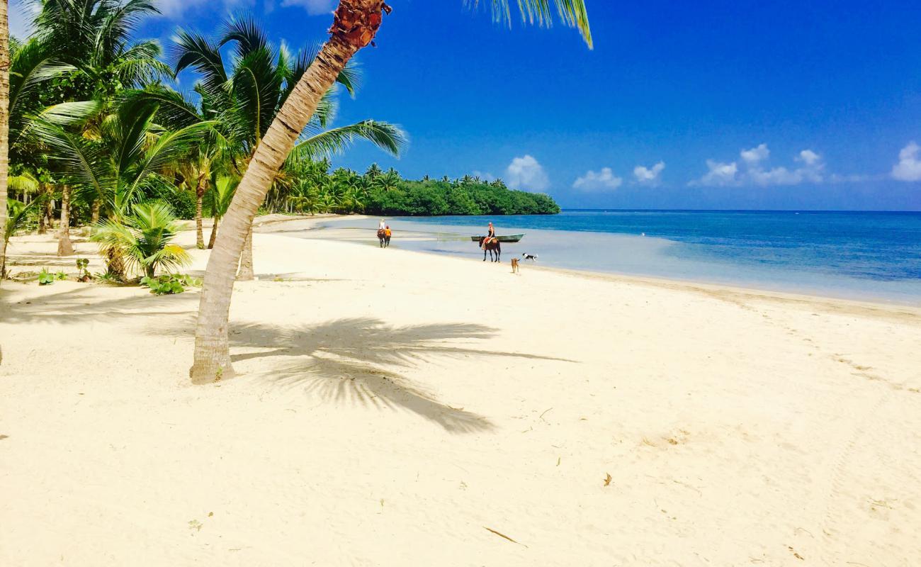 Foto de Playa Estillero con brillante arena fina superficie