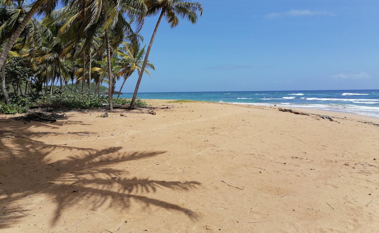 Foto de Playa Lanza del Norte con arena fina oscura superficie