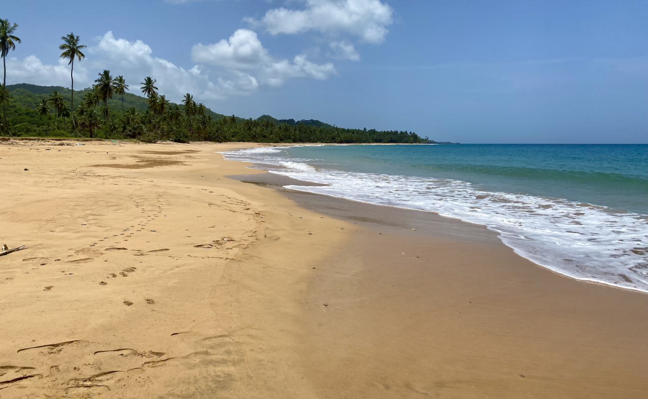 Foto de Playa la Cana con arena fina oscura superficie