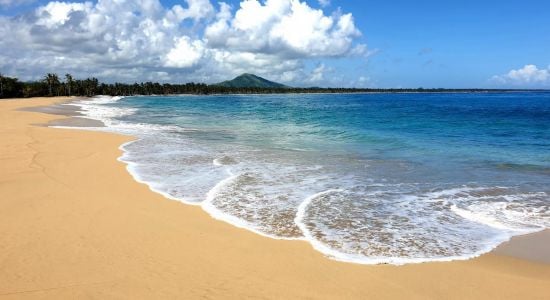 Playa El Limón