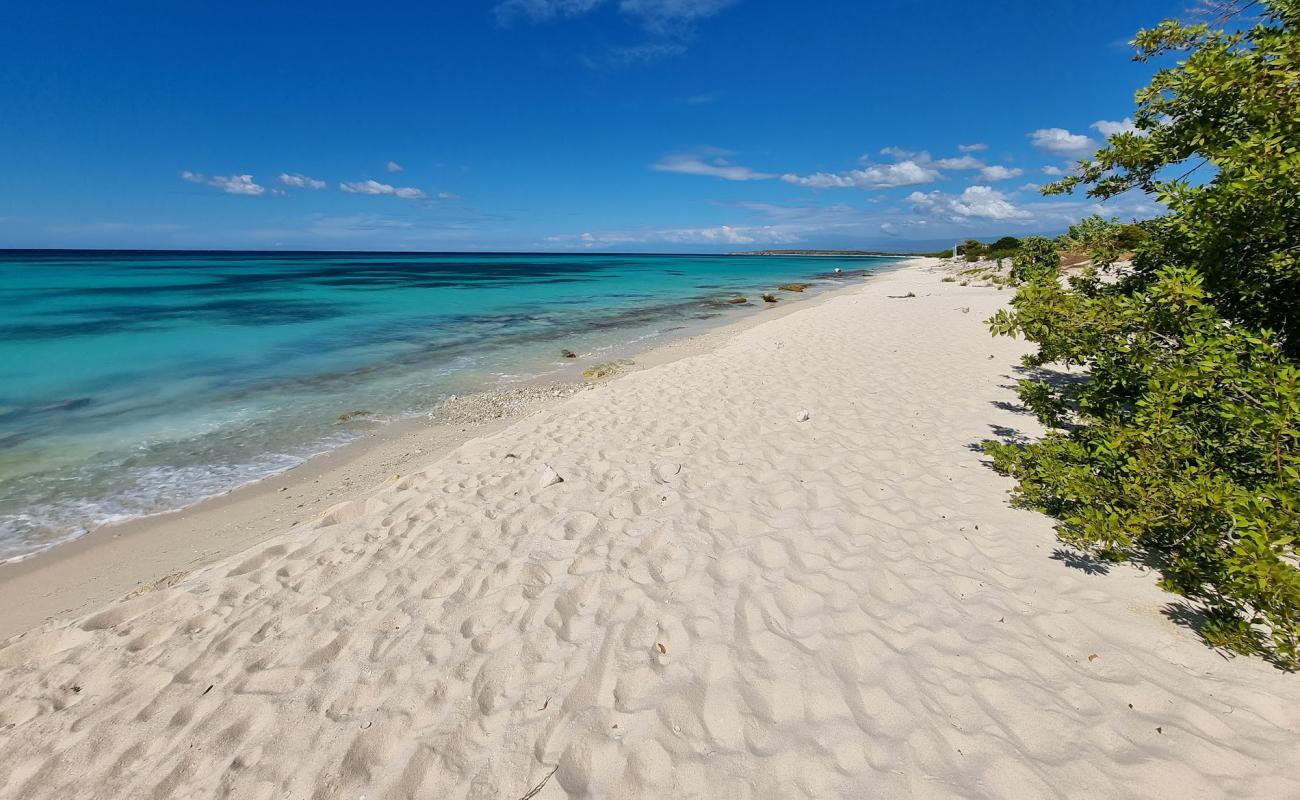 Foto de La Cueva beach con brillante arena fina superficie