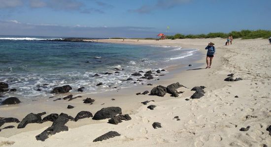 Playa Loberia