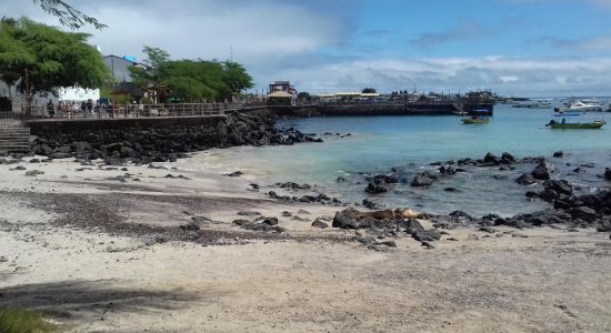 Playa de Oro