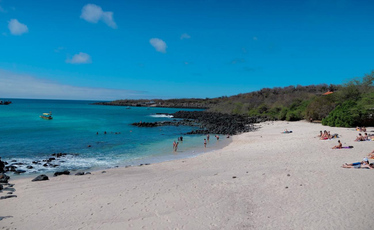 Foto de Playa man con arena brillante y rocas superficie