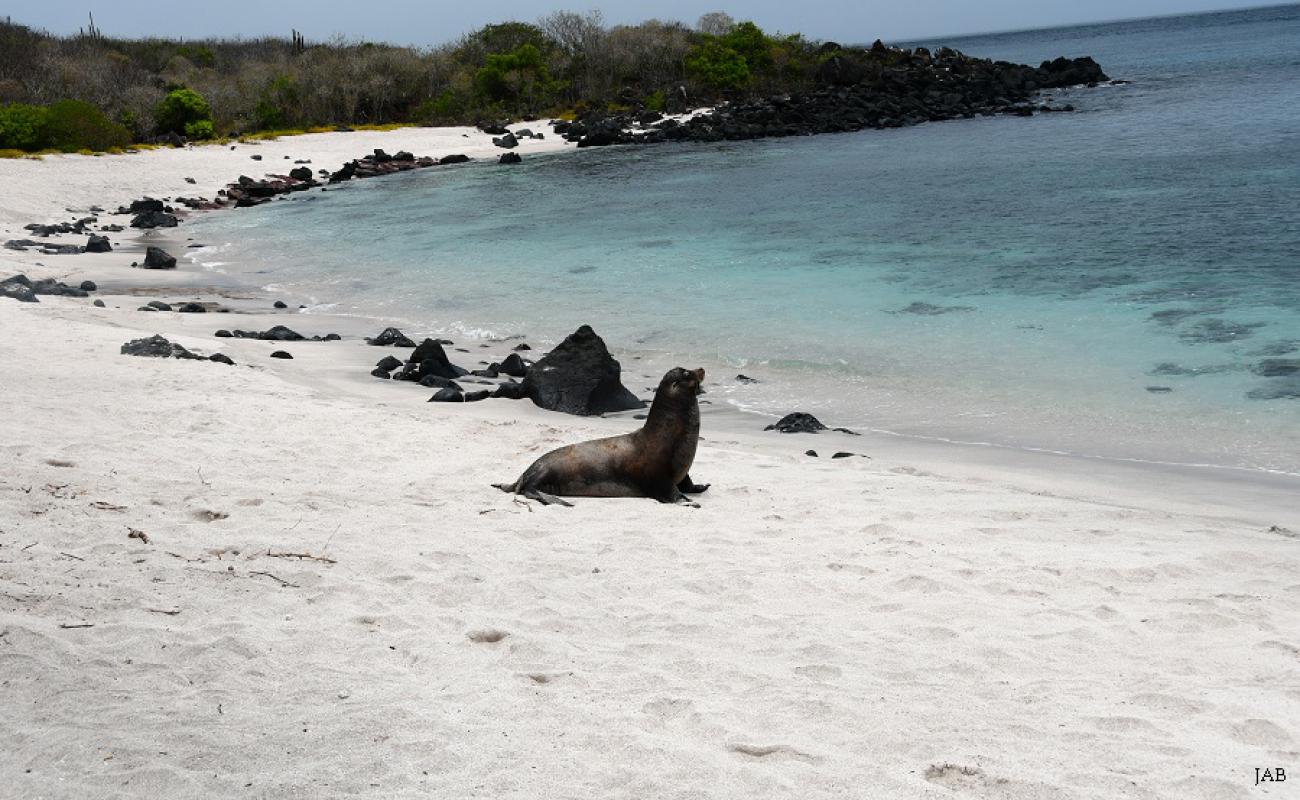 Foto de Playa Baquerizo con arena brillante superficie