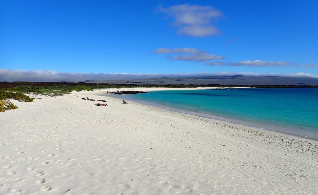 Foto de Playa Cerro Brujo con arena fina blanca superficie