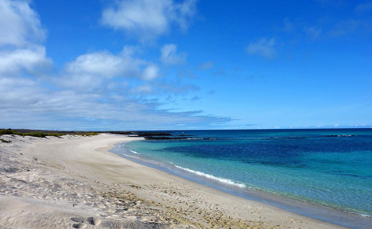 Foto de Playa La Galapaguera con arena brillante superficie