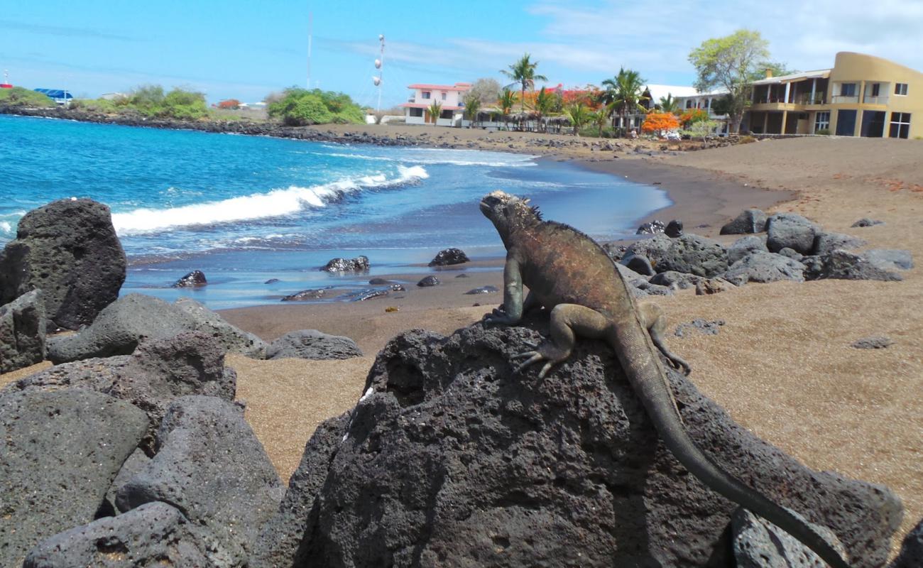 Foto de Playa Negra con arena negra superficie