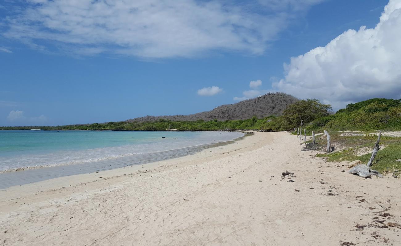 Foto de Playa El Garrapatero con arena brillante superficie