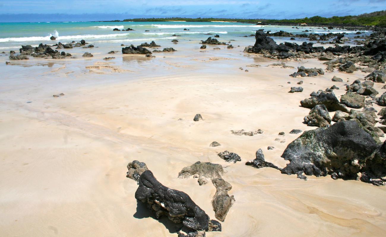 Foto de Garrapatero Beach con arena brillante superficie