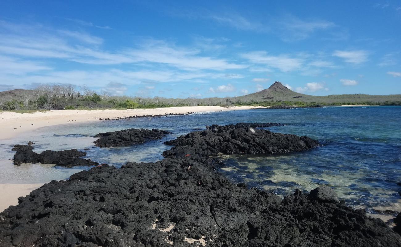 Foto de Cerro Dragon Beach con arena brillante y rocas superficie