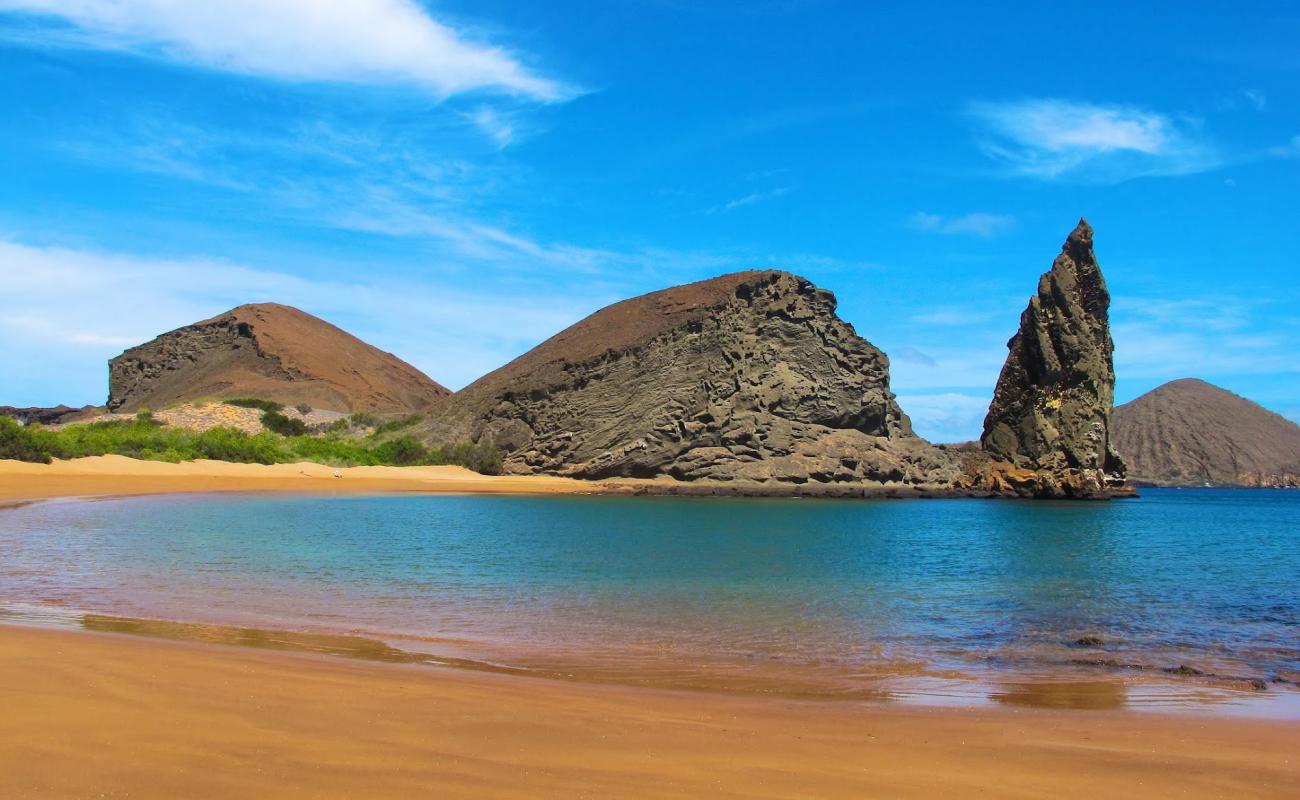 Foto de Playa Dorada con arena brillante superficie