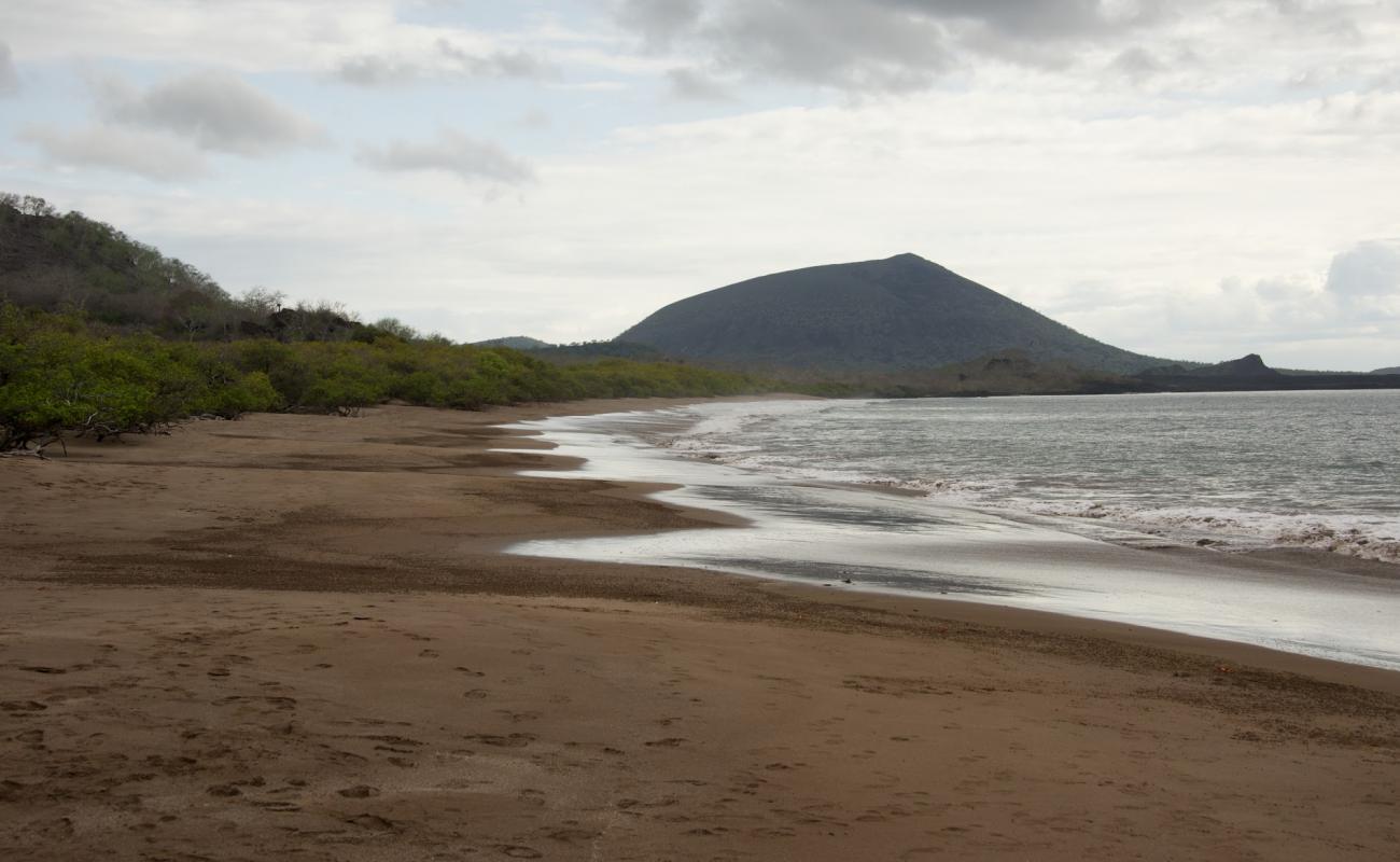 Foto de Espumilla Beach con arena brillante superficie