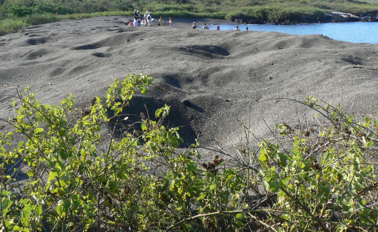 Foto de Urbina Bay con arena/piedras blanca superficie