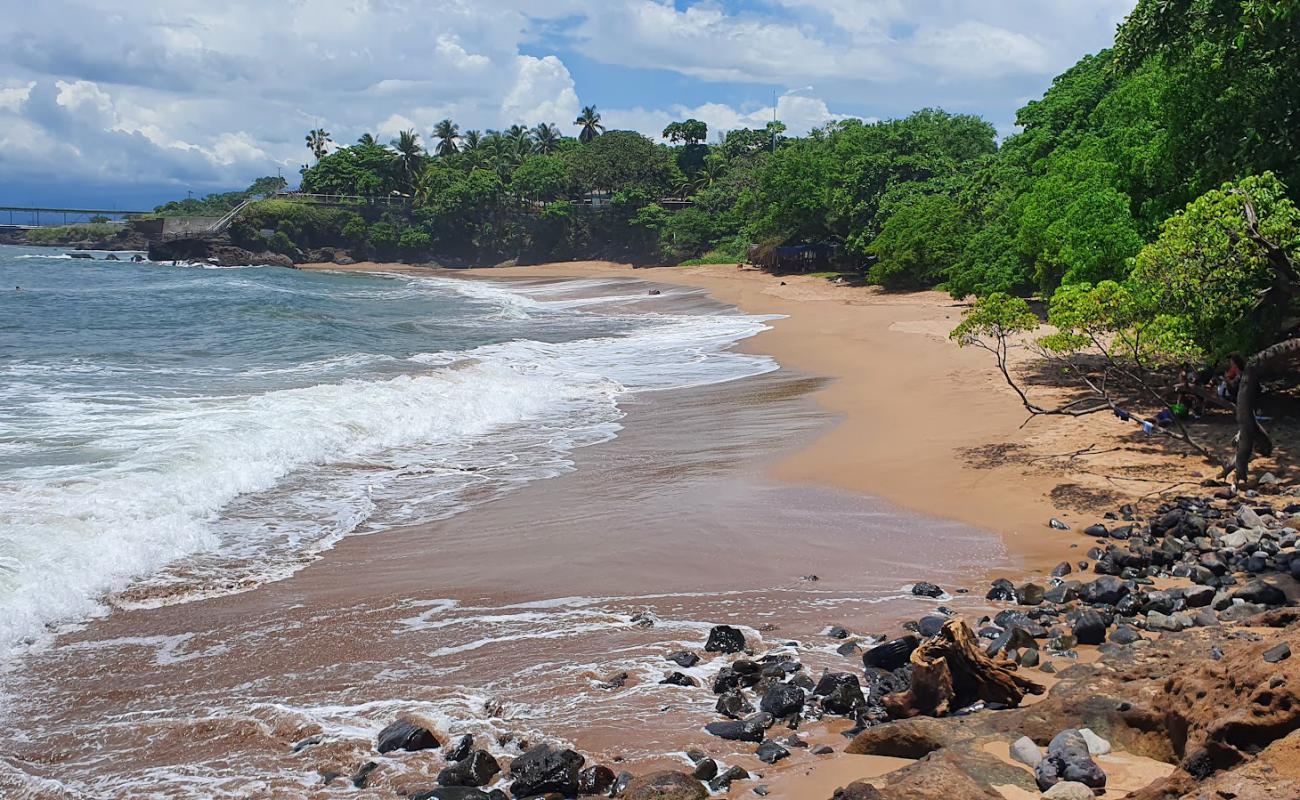 Foto de Flowers Beach con arena oscura superficie