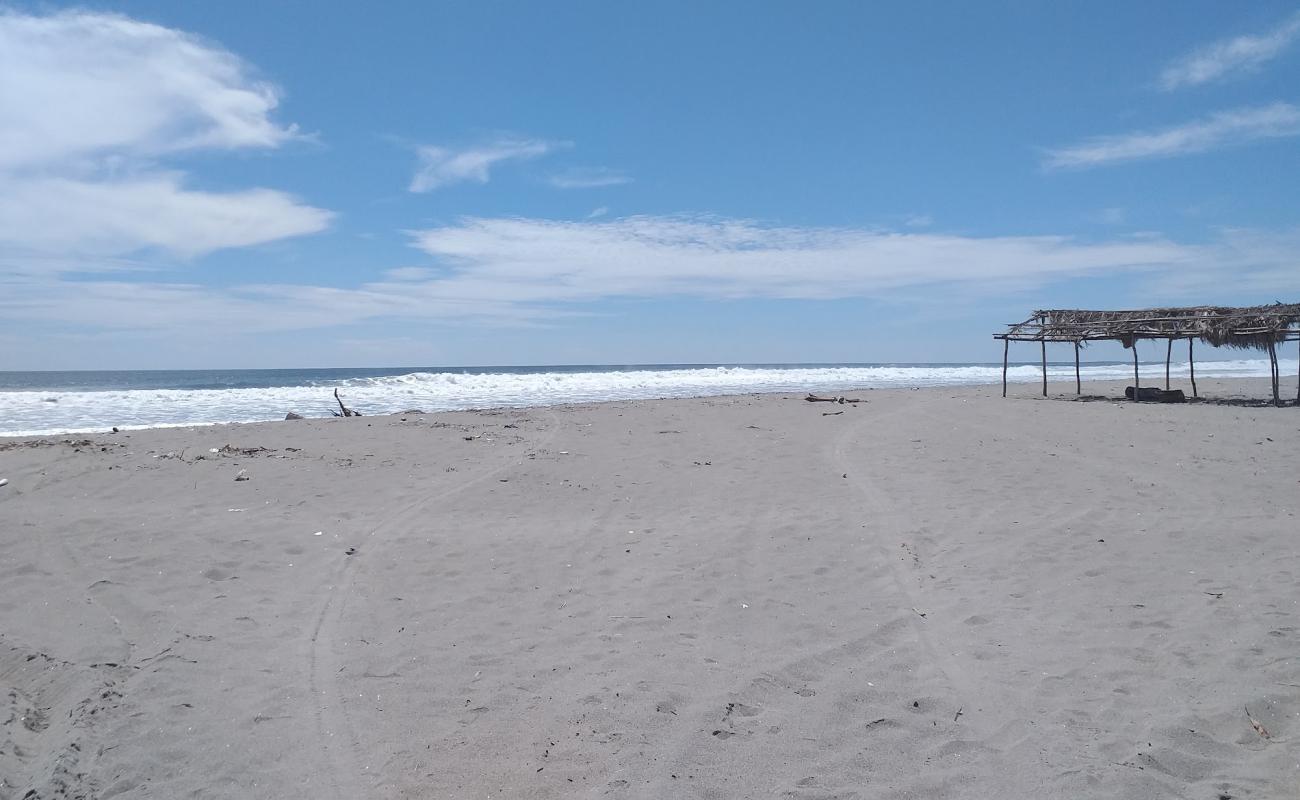 Foto de Tasajera beach con arena gris superficie