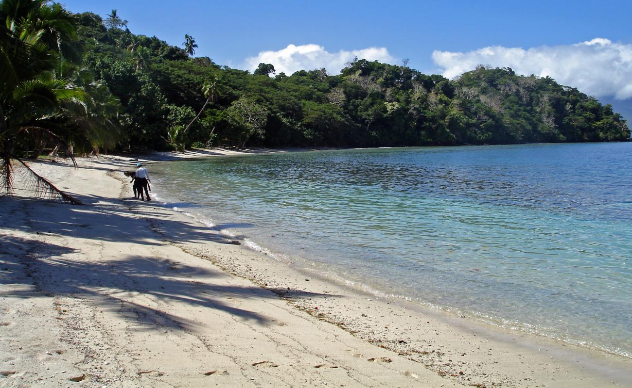 Foto de Waitatavi Bay Beach con arena blanca superficie