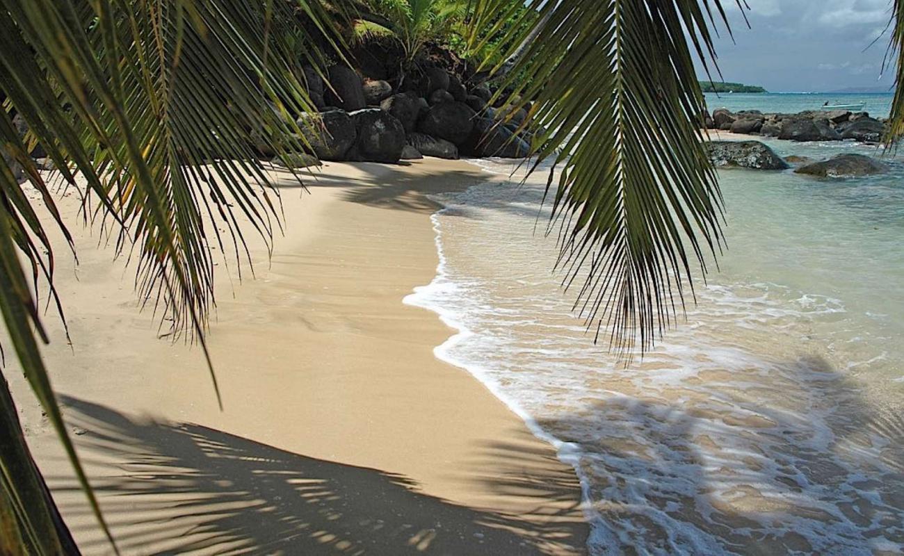 Foto de Taveuni Beach con brillante arena fina superficie