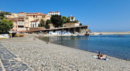 Cerbere beach