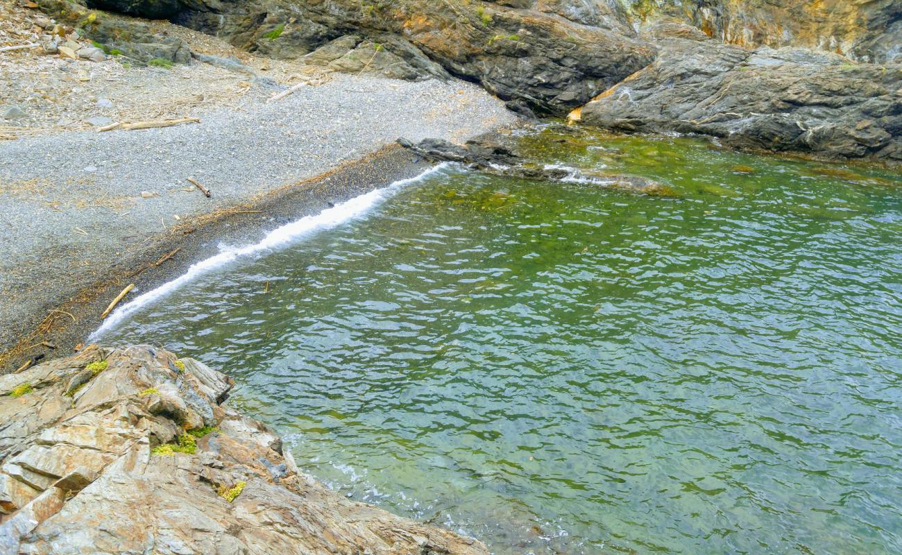 Foto de Cap Canadel beach con piedra superficie