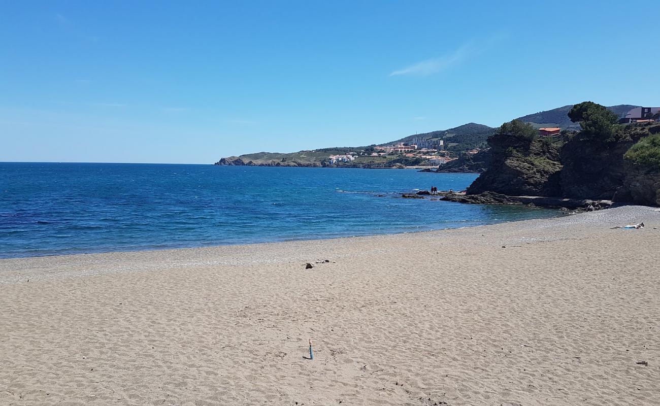 Foto de Sana beach con arena fina y guijarros superficie