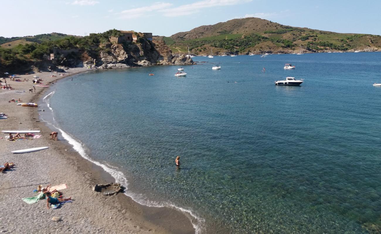 Foto de Plage del Forat con guijarro ligero superficie