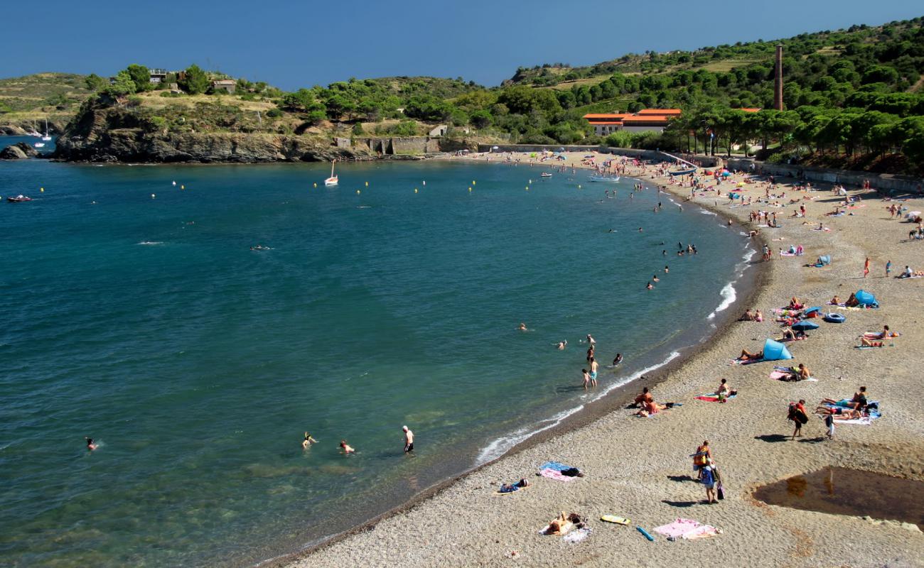 Foto de Paulilles beach con guijarro fino claro superficie