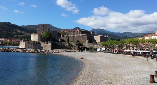 Playa de Collioure