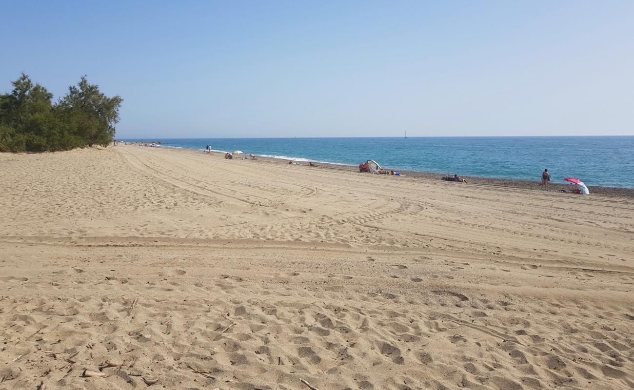 Foto de Playa de Saint Cyprien con brillante arena fina superficie