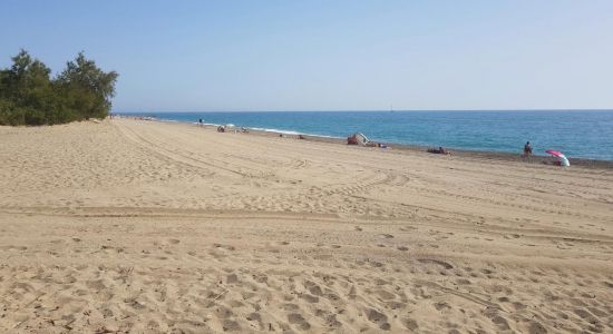 Playa de Saint Cyprien