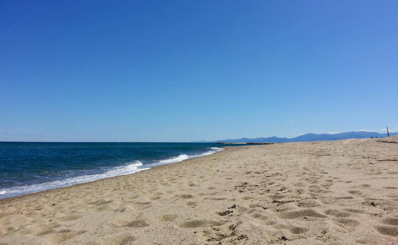 Foto de Torreilles beach con brillante arena fina superficie