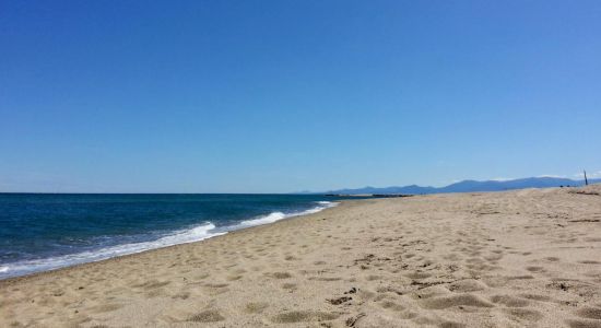 Torreilles beach