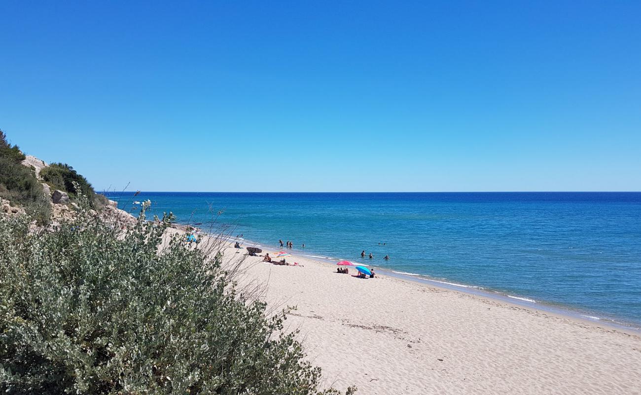 Foto de Playa de Leucate con brillante arena fina superficie