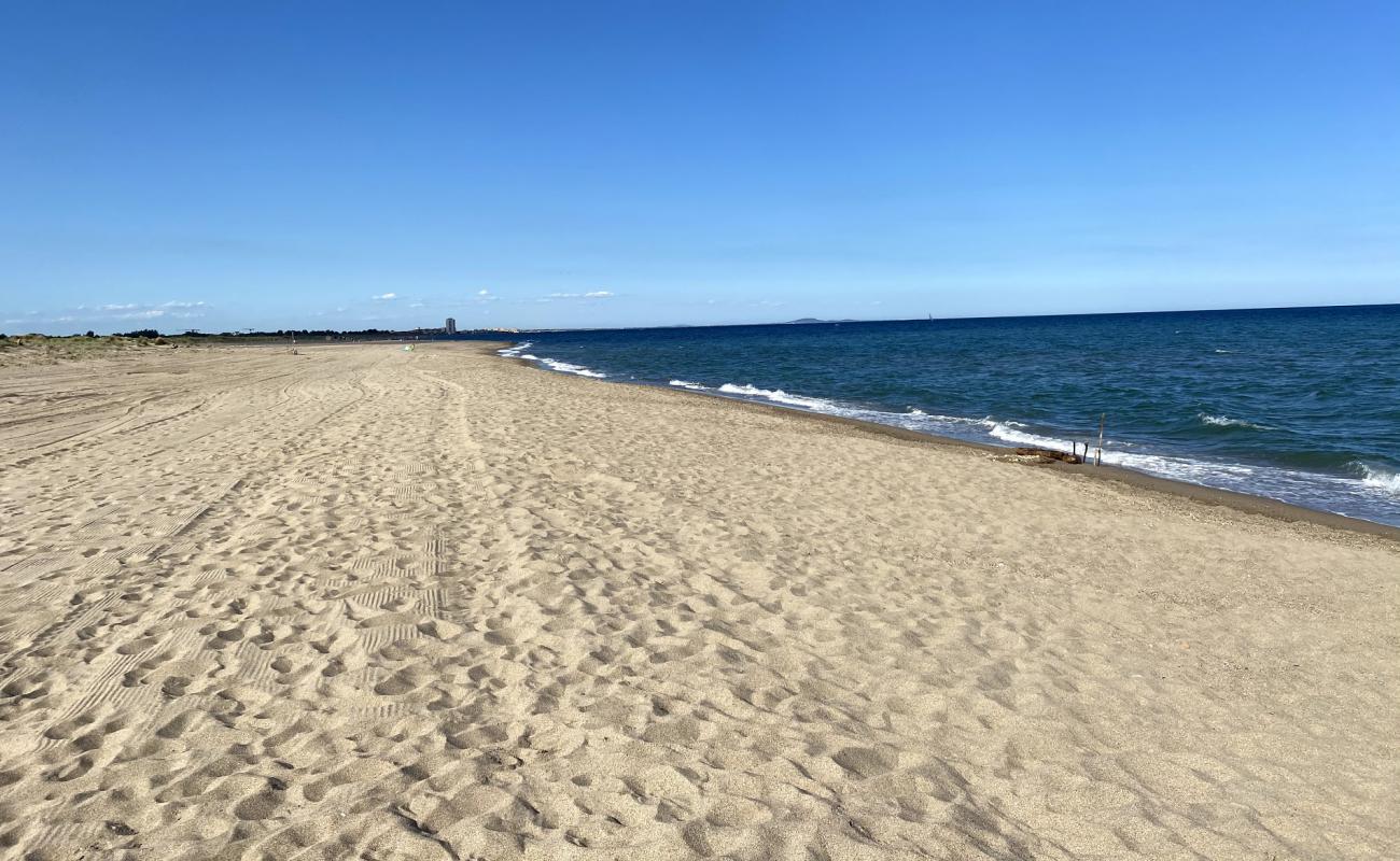 Foto de Plage Vendres con brillante arena fina superficie