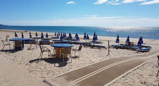 Playa de la Ballena