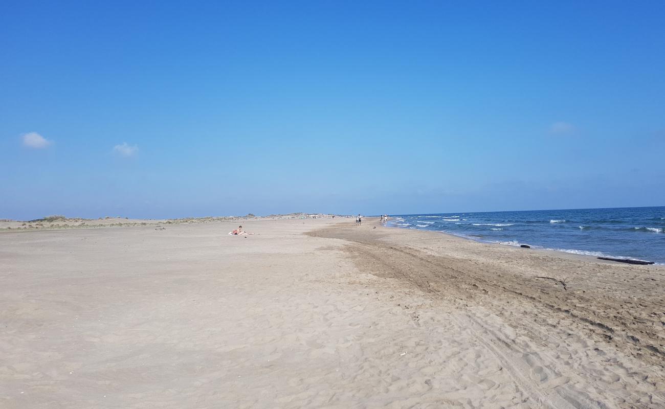 Foto de Playa de Espiguette con brillante arena fina superficie