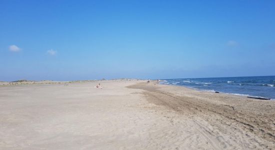 Playa de Espiguette