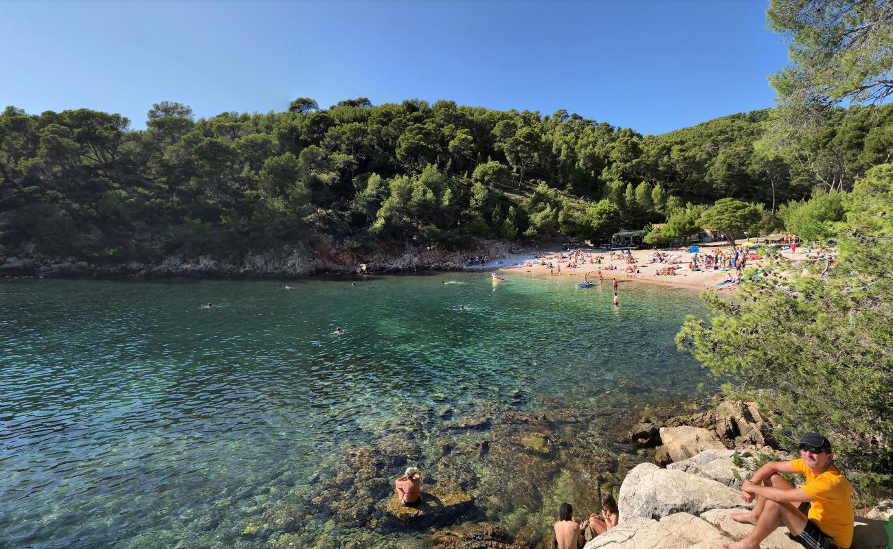 Foto de Calanque De Port D'Alon área de servicios