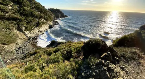 Plage de la Fosse