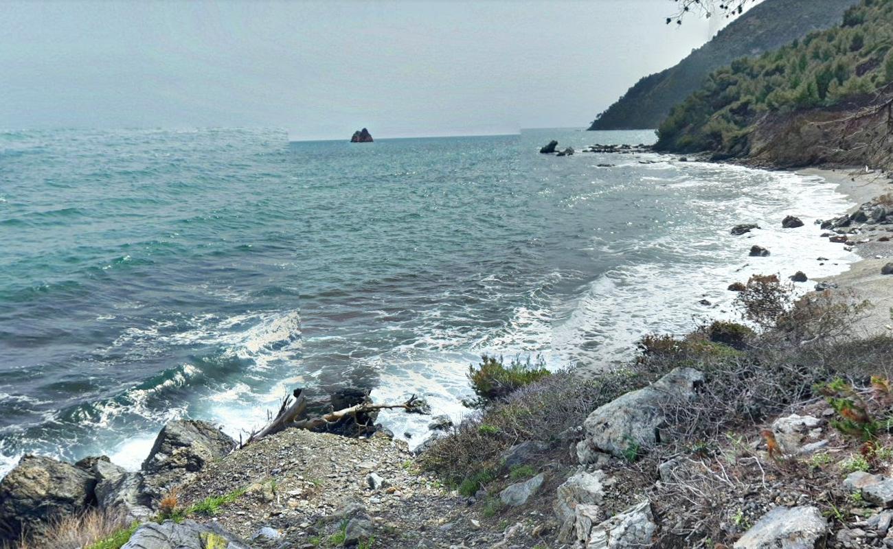 Foto de Plage du Boeuf con agua cristalina superficie