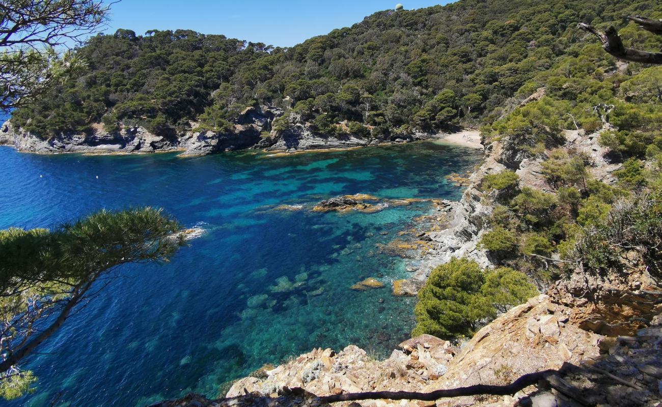 Foto de Plage d'Escampo-Barriou con guijarro oscuro superficie