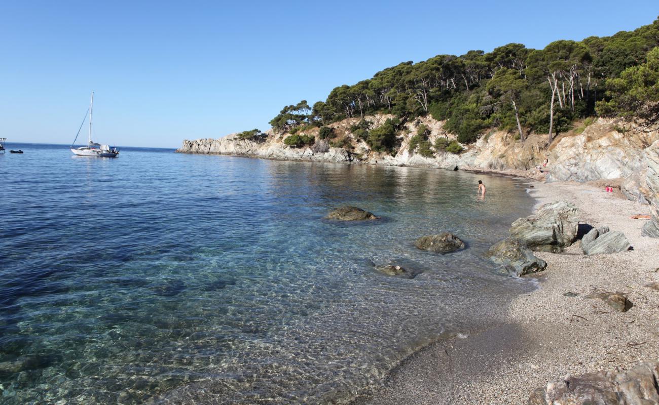 Foto de Plage des Darboussieres con guijarro fino gris superficie